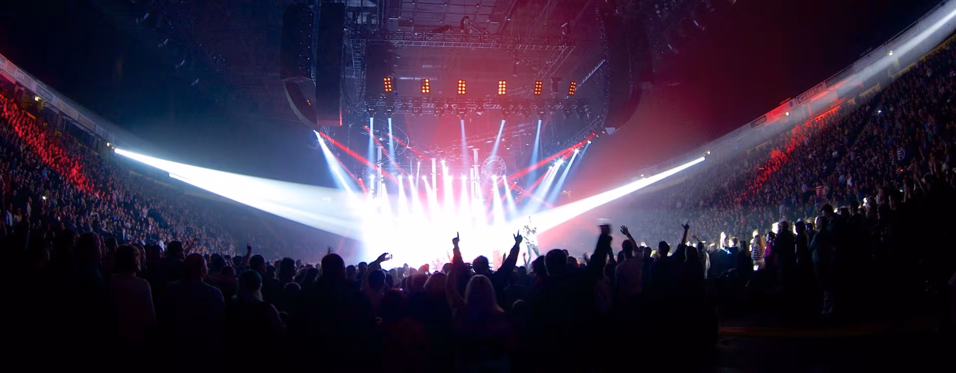Concert VIP Experience